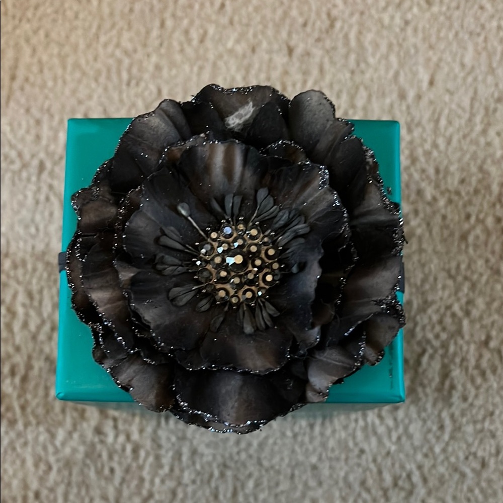 Tieks by Gavrieli Teal Box